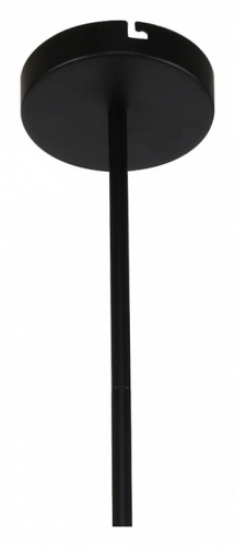 Подвесная люстра F-promo Ducan 3094-8P в Нижнем Новгороде фото 2