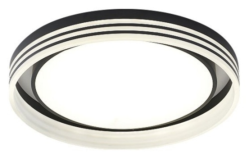 Накладной светильник Zortes Adel ZRS.1200.03 в Нижнем Новгороде фото 7