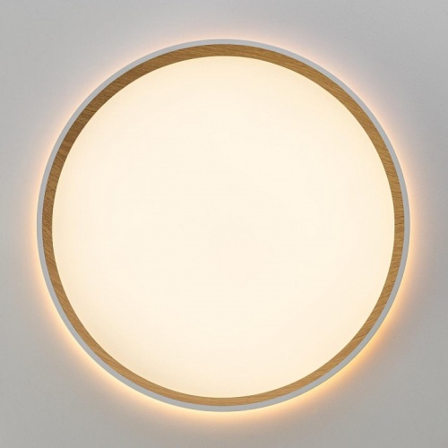 Накладной светильник Citilux ETALON CL750320R в Нижнем Новгороде фото 9