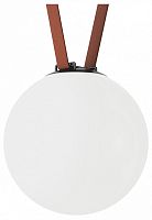 Накладной светильник Denkirs Belty Orb DK5554-BK в Нижнем Новгороде