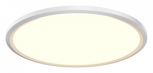 Накладной светильник Maytoni Incognito MOD426CL-L43WK1 в Нижнем Новгороде