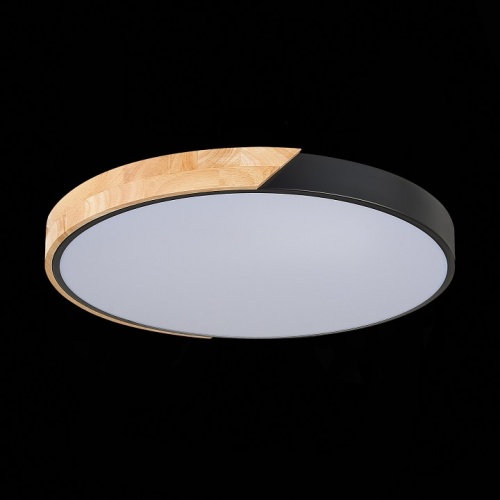 Накладной светильник EVOLUCE Festa SLE200942-01 в Нижнем Новгороде фото 11