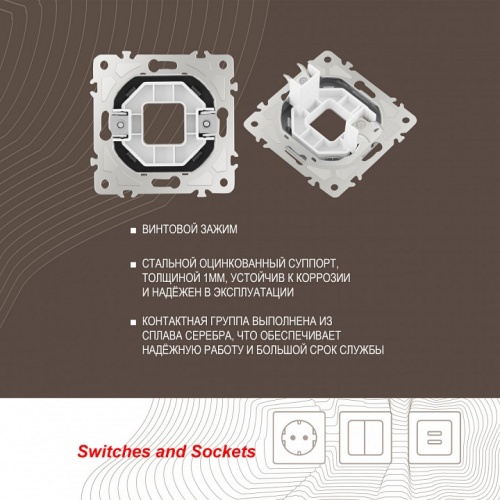 Розетка для вывод кабеля без рамки Arte Milano am-205 205.49-1.shampan в Нижнем Новгороде фото 2