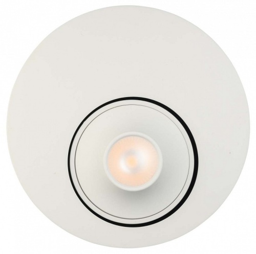 Накладной светильник DeMarkt Круз 637016501 в Нижнем Новгороде фото 3