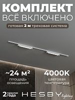 Комплект трековый Hesby Lighting Skylite №1 HSBL_kompl_S001_NI2W4K в Нижнем Новгороде