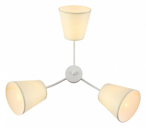 Потолочная люстра Rivoli Aimee Б0059971 в Нижнем Новгороде фото 5