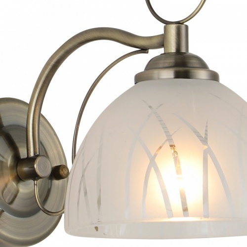 Бра 06570-0.2-01 в Нижнем Новгороде фото 2