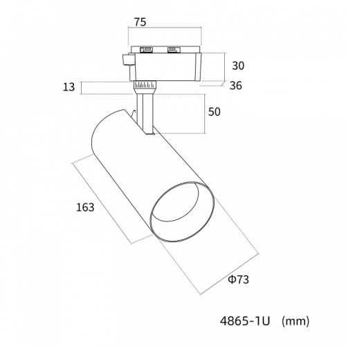 Светильник на штанге Favourite Practica 4865-1U в Нижнем Новгороде фото 2
