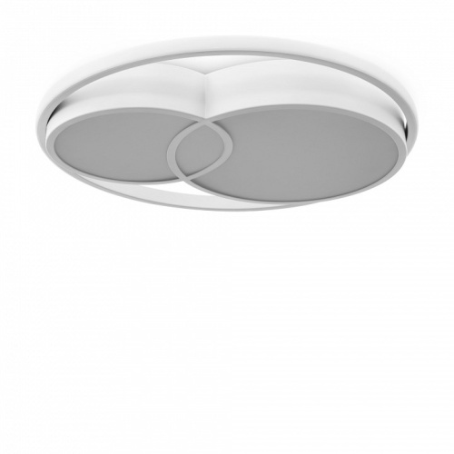 Накладной светильник Freya  FR10029CL-L70W в Нижнем Новгороде фото 6