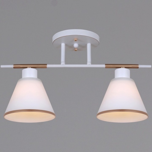 Светильник на штанге 07594-0.3-02 WG в Нижнем Новгороде фото 4