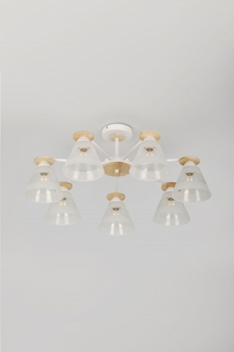 Потолочная люстра Rivoli Theothila Б0068395 в Нижнем Новгороде фото 9