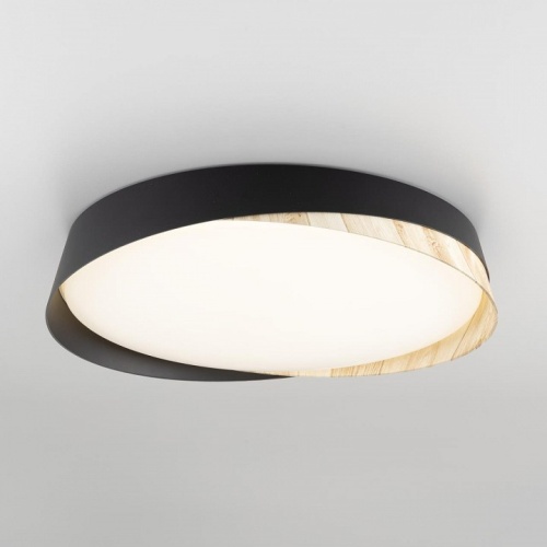 Накладной светильник Citilux BONNY CL754351G в Нижнем Новгороде фото 10