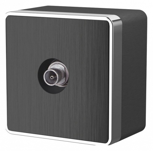 ТВ-розетка Werkel Gallant (графит рифленый) W5083004 в Нижнем Новгороде