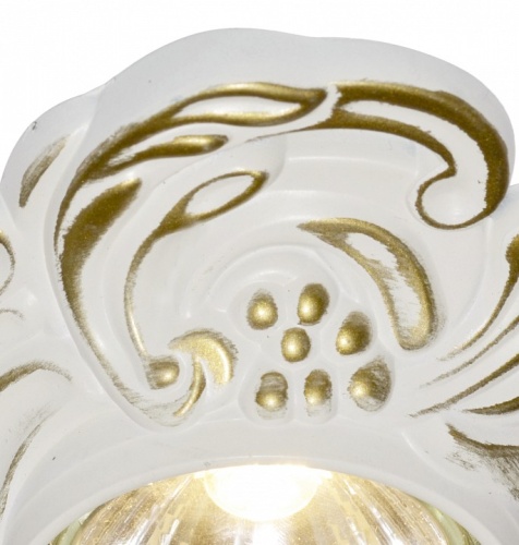 Встраиваемый светильник Arte Lamp Occhio A5285PL-1SG в Нижнем Новгороде фото 3