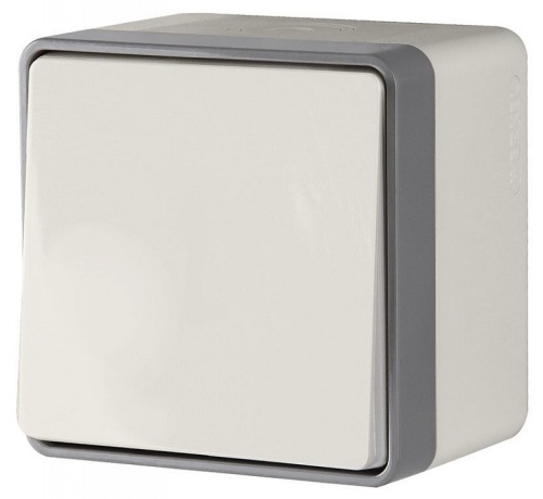 Выключатель одноклавишный влагозащищенный Werkel Gallant (слоновая кость) W5010203 в Нижнем Новгороде