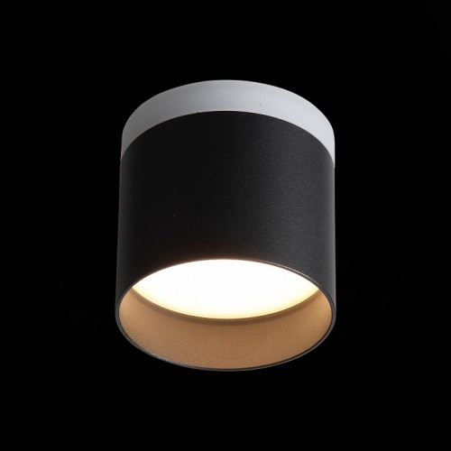 Накладной светильник ST-Luce Panaggio ST102.402.12 в Нижнем Новгороде фото 4