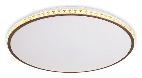 Накладной светильник Ambrella Light FF FF71 в Нижнем Новгороде фото 5