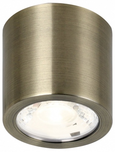 Накладной светильник Favourite Deorsum 2806-1C в Заполярном фото 2
