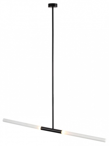 Светильник на штанге Odeon Light Soho 4307/2 в Нижнем Новгороде фото 4