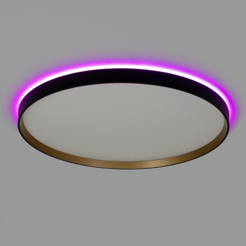 Накладной светильник Citilux ETALON CL750501R в Нижнем Новгороде фото 9