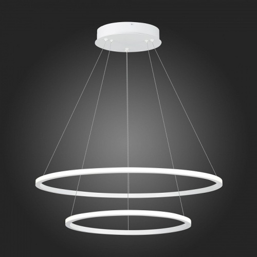 Подвесной светильник ST-Luce ST604 OUT ST604.543.56 в Нижнем Новгороде фото 2