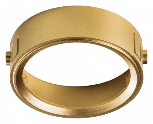 Кольцо декоративное Lightstar Domino 214003 в Нижнем Новгороде