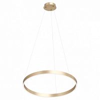 Подвесной светильник Denkirs RAYDIA DK6273-SG в Нижнем Новгороде