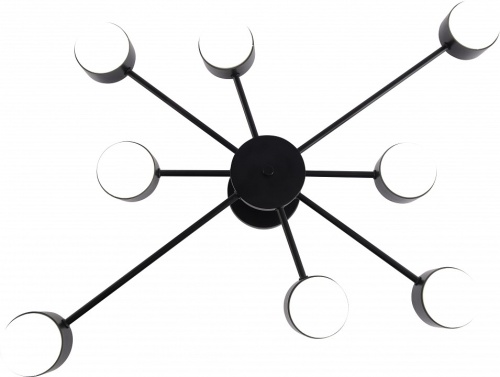 Потолочная люстра Rivoli Lesley 3185-308 в Нижнем Новгороде фото 2