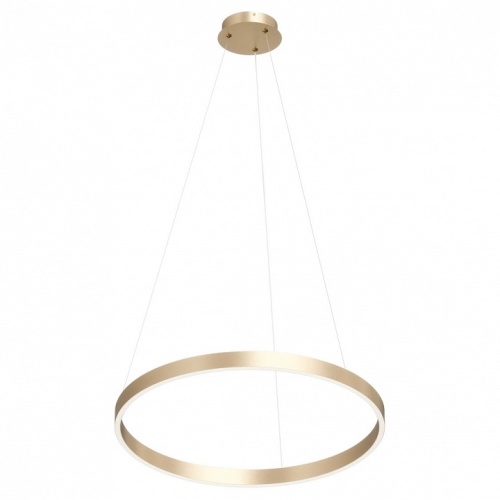 Подвесной светильник Denkirs RAYDIA DK6273-SG в Нижнем Новгороде