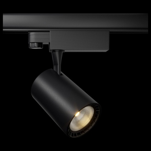 Светильник на штанге Maytoni Vuoro TR029-3-10W4K-B в Нижнем Новгороде фото 3