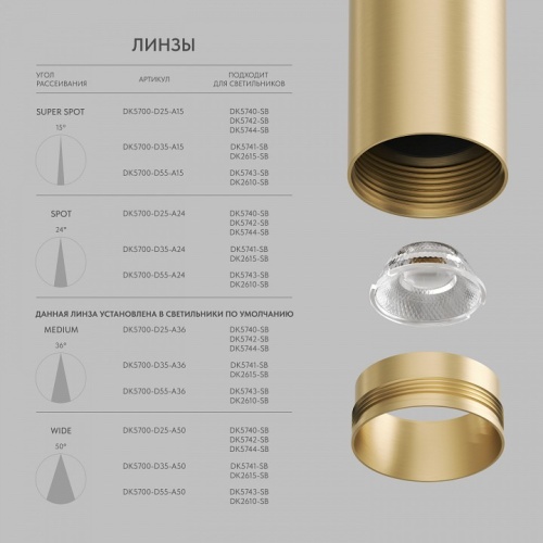 Подвесной светильник Denkirs SHINE SPOT DK5744-SB в Нижнем Новгороде фото 7
