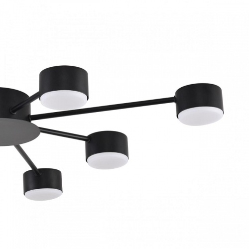 Потолочная люстра Lumion TORINA 8344/8C в Нижнем Новгороде фото 6