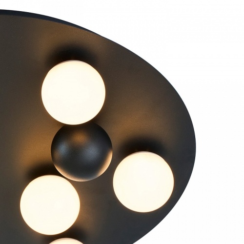 Потолочная люстра F-promo Swarm 4693-8C в Нижнем Новгороде фото 2