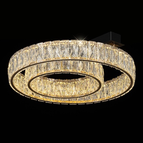 Накладной светильник Citilux PALANT CL325152 в Нижнем Новгороде фото 3