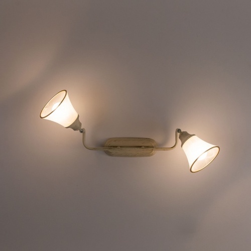 Спот Citilux Прованс CL511524 в Нижнем Новгороде фото 3