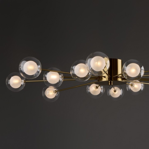 Потолочная люстра Freya Celebrity FR5242CL-16BS1 в Нижнем Новгороде фото 7