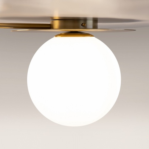 Потолочная люстра Maytoni Star sky MOD291CL-04BS в Нижнем Новгороде фото 2