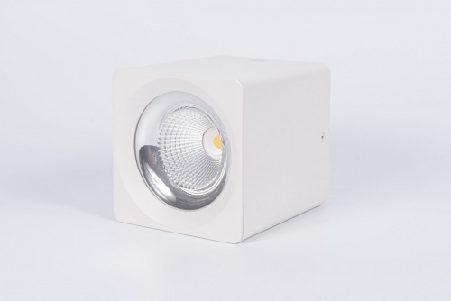 Накладной светильник Fiberli CH-SD220 12120101 в Нижнем Новгороде фото 5