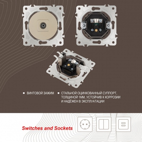 ТВ-розетка без рамки Arte Milano am-202 202.43-1.shampan в Нижнем Новгороде фото 2