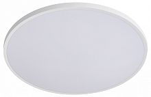 Накладной светильник Lightstar Arco Eco 225720 в Нижнем Новгороде