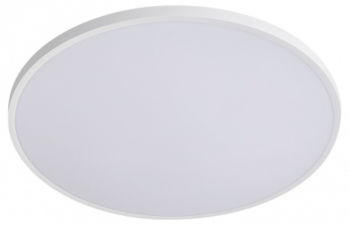 Накладной светильник Lightstar Arco Eco 225720 в Нижнем Новгороде