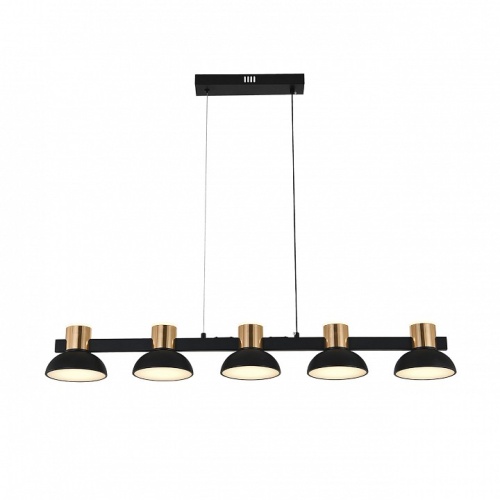 Подвесной светильник Indigo Traforo 11059/5PL Black в Нижнем Новгороде фото 4