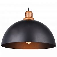 Подвесной светильник Arte Lamp Eurica A4249SP-1BK в Городце