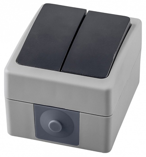 Выключатель двухклавишный влагозащищенный Stekker Велена 32753 в Нижнем Новгороде