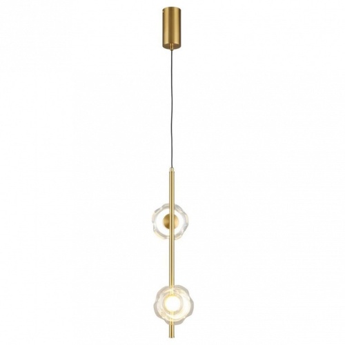 Подвесной светильник Aployt Tereze APL.074.06.02 в Нижнем Новгороде