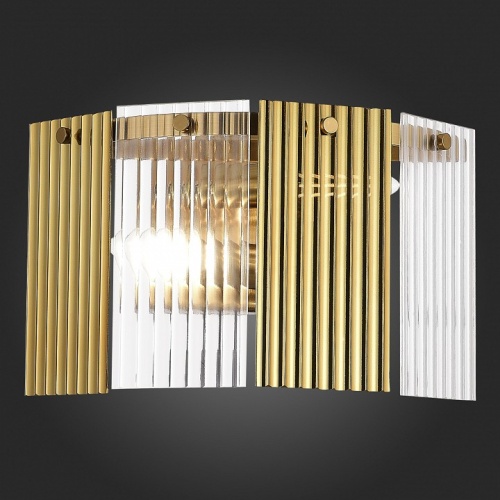 Накладной светильник EVOLUCE Tresa SLE1123-301-02 в Нижнем Новгороде фото 2