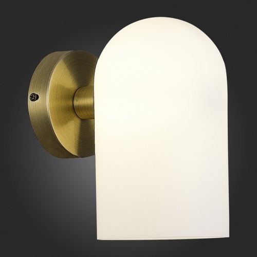 Бра EVOLUCE Nobilia SLE1047-301-01 в Нижнем Новгороде фото 2