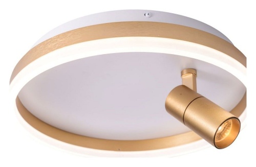 Накладной светильник Zortes Raizy ZRS.1888.04 в Нижнем Новгороде фото 5