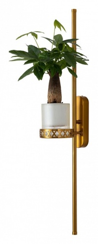 Бра Favourite Greenery 4050-2W в Нижнем Новгороде фото 11