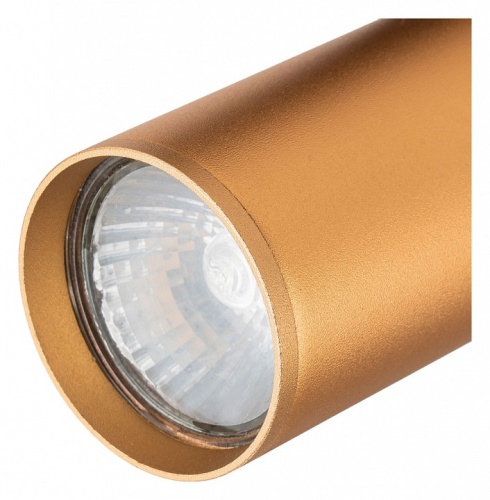 Светильник на штанге Escada 20001 20001TRA/01 BR в Нижнем Новгороде фото 3